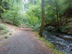 dsc00036