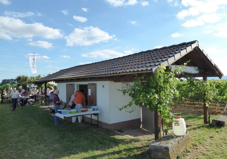 Neuer Wanderplan 2020 ist online