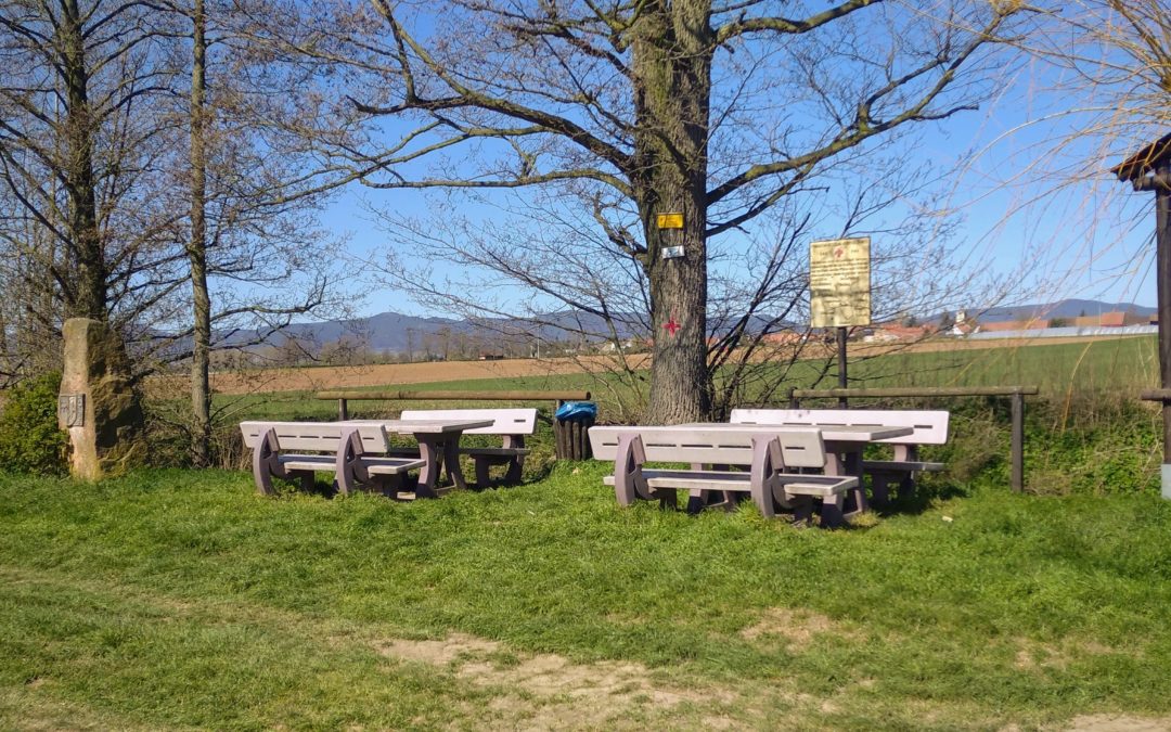 Absagen im April