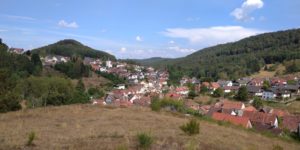 Wanderung im Iggelbacher Wald