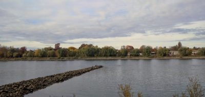 Rhein bei Rheinsheim