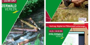 Rheinland-Pfalz Tag 2025